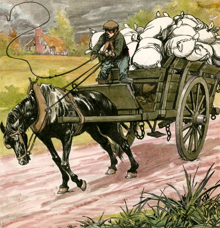 Siyah Güzellik by Carlos Gabriel Roume
