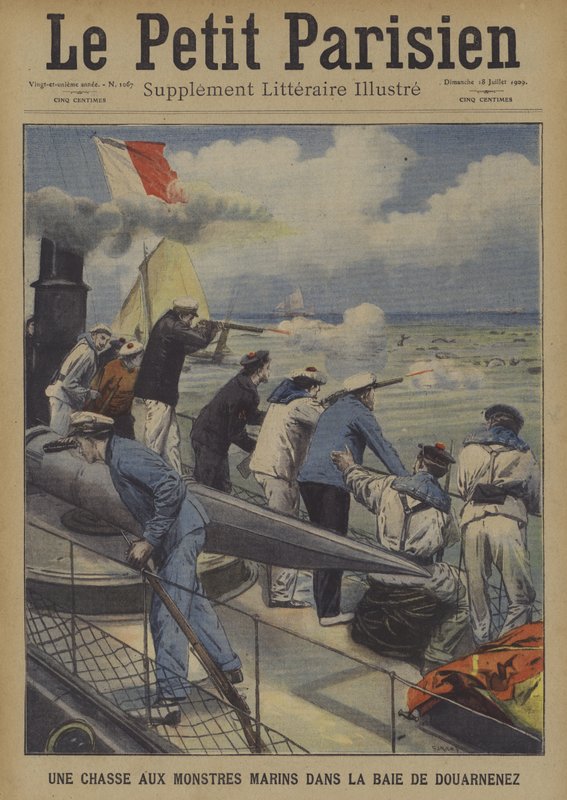 Douarnenez Körfezi