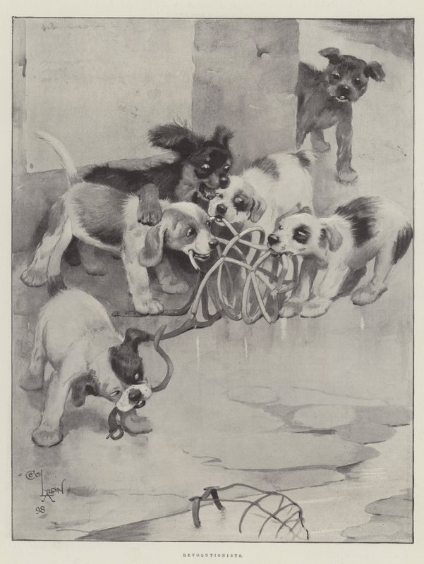devrimciler by Cecil Charles Windsor Aldin