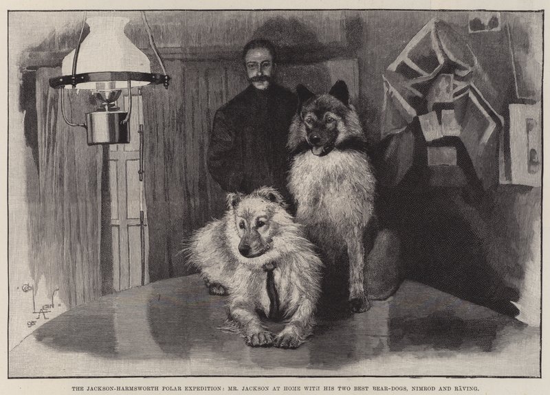 The Jackson-Harmsworth Polar Expedition, Bay Jackson, En İyi İki Ayı Köpeği, Nimrod ve Raving ile Evde by Cecil Charles Windsor Aldin