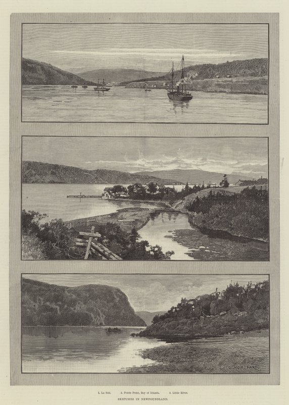 Newfoundland