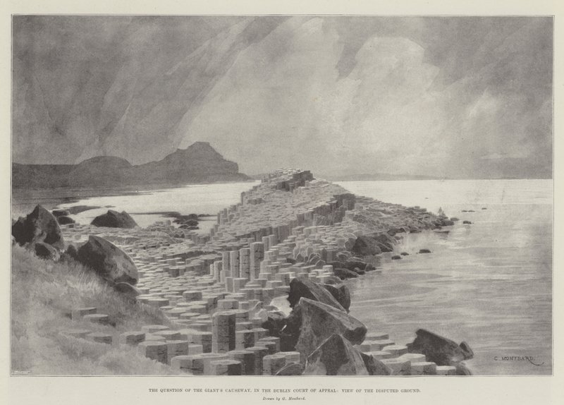 Devin Geçidi Sorusu, Dublin Temyiz Mahkemesinde, İhtilaflı Zemine Bakış by Charles Auguste Loye
