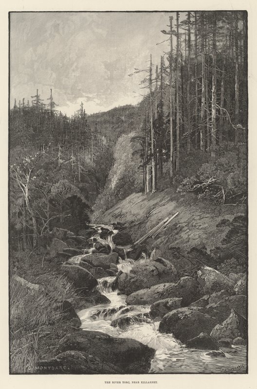 Torc Nehri, Killarney yakınlarında by Charles Auguste Loye