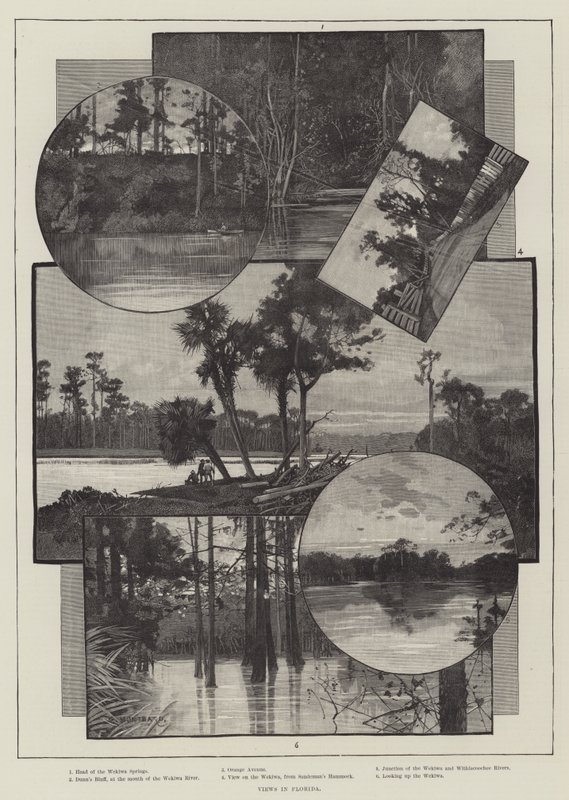 Florida'daki manzaralar by Charles Auguste Loye