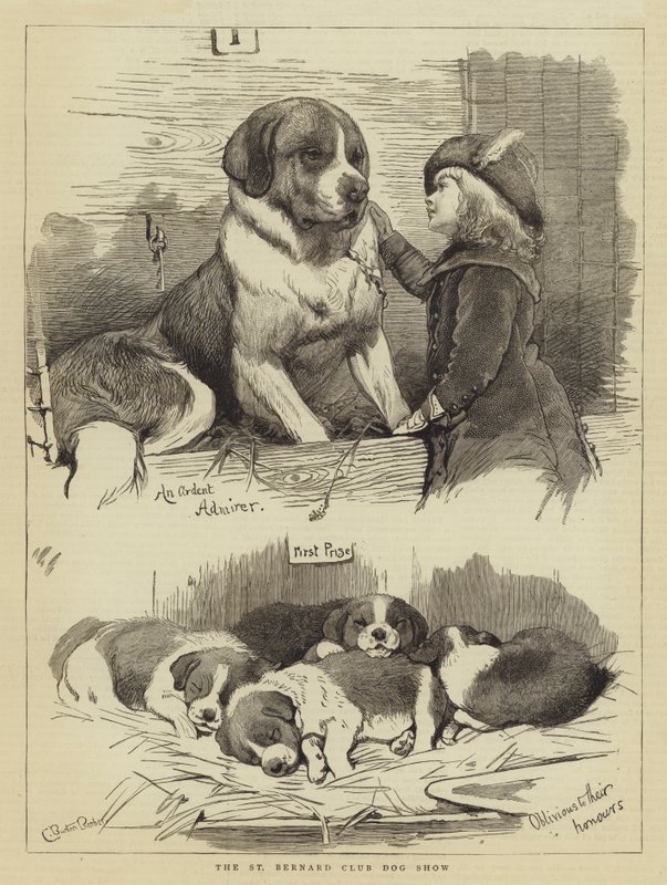 St Bernard Kulübü Köpek Gösterisi by Charles Burton