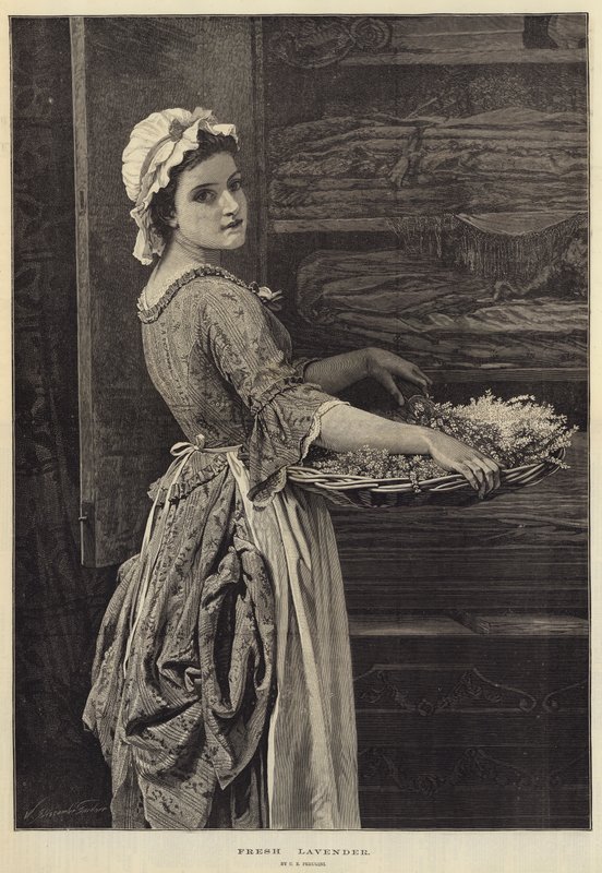 taze lavanta by Charles Edward Perugini