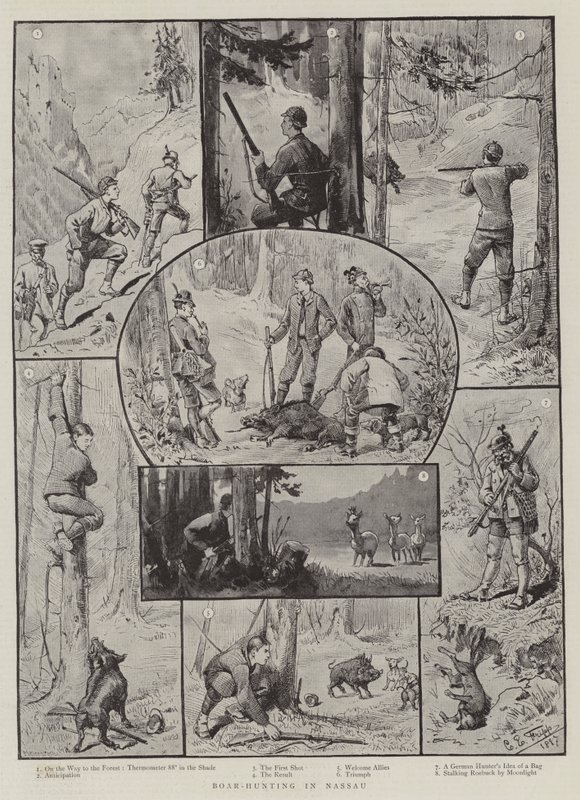 Nassau