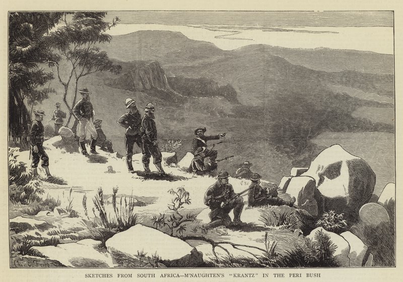 Güney Afrika'dan Eskizler, M'Naughten'in Krantz'ı Peri Bush'ta by Charles Edwin Fripp