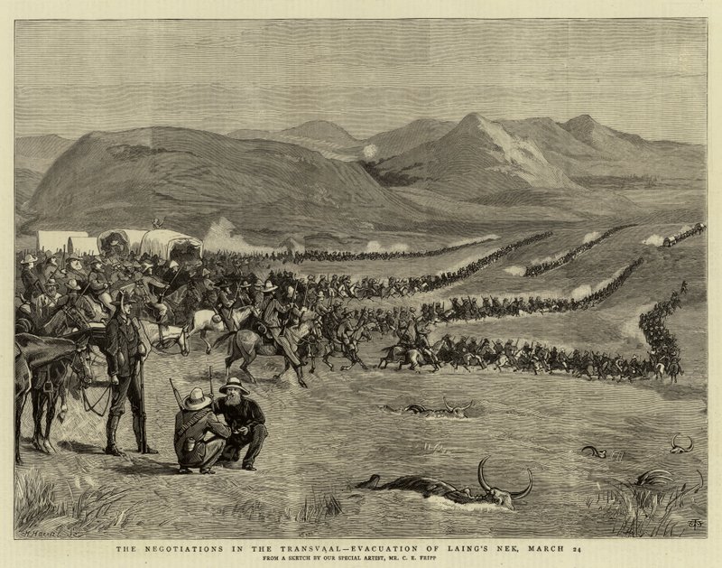 Transvaal