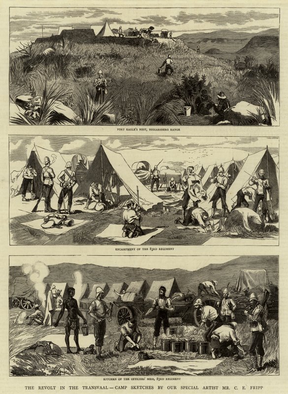 Transvaal