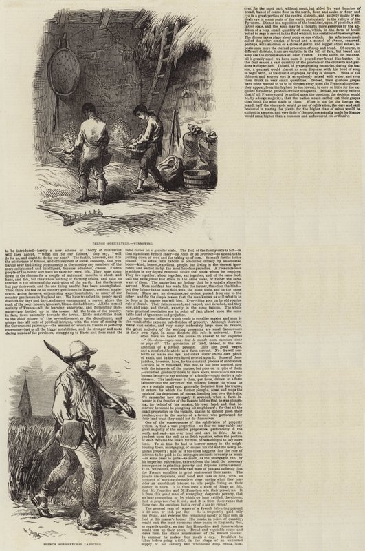 ಫ್ರಾನ್ಸ್ ಟರ್ಕಿಯಲ್ಲಿ ಕೃಷಿ by Charles Emile Jacque