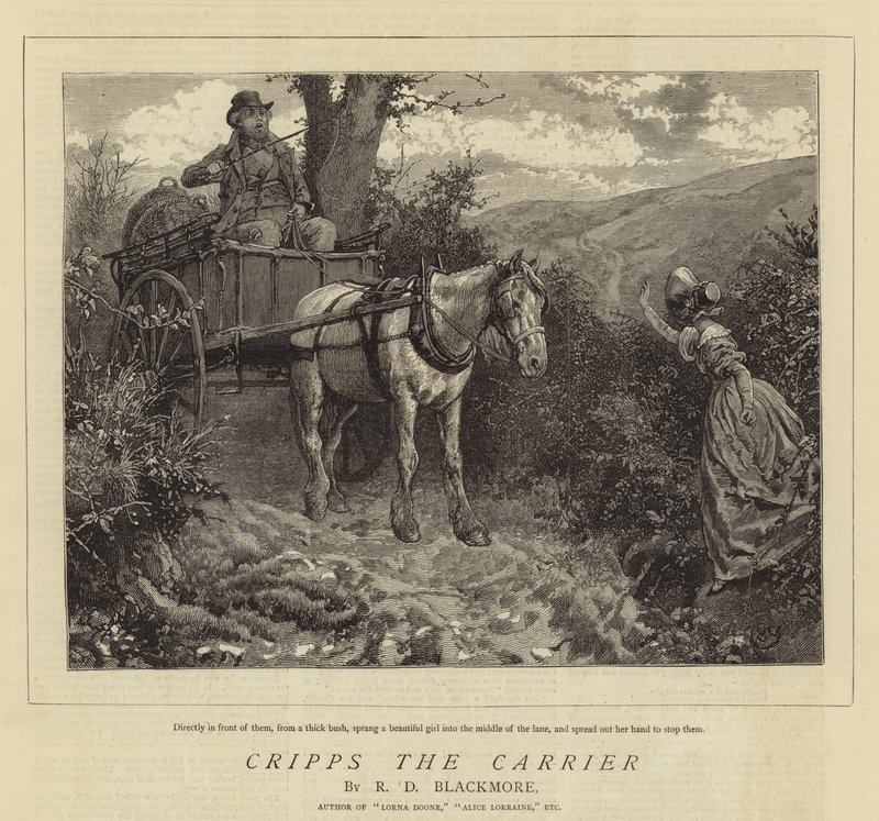 Taşıyıcıyı Sakatlar by Charles Green