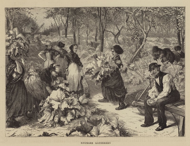 Ravent Toplayıcılar by Charles J. Staniland