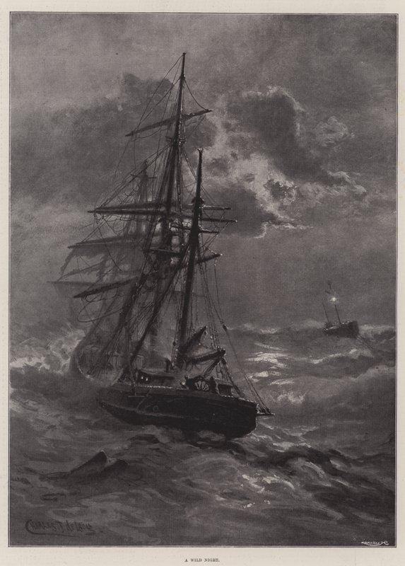 Vahşi Bir Gece by Charles John de Lacy