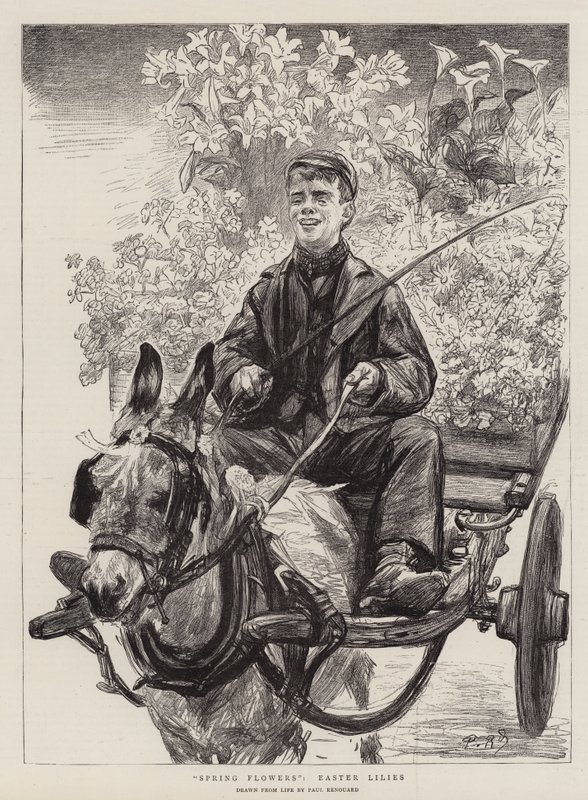 ಸ್ಪ್ರಿಂಗ್ ಹೂಗಳು, ಈಸ್ಟರ್ ಲಿಲೀಸ್ ಟರ್ಕ್ by Charles Paul Renouard