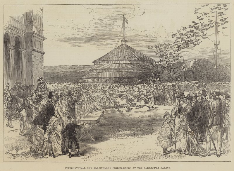 International and All-England Pigeon-Races at the Alexandra Palace  by Sir John Charles Robinson