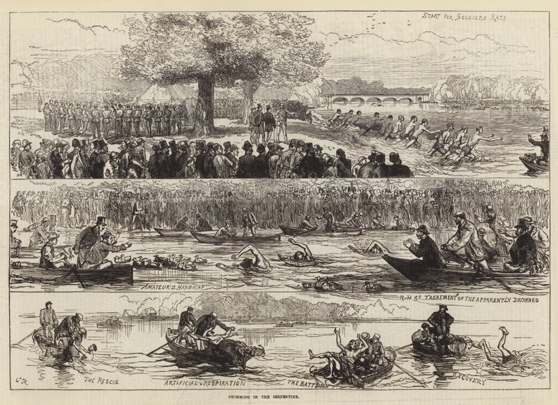 Serpantin içinde yüzmek by Sir John Charles Robinson