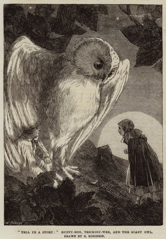 Bize Bir Hikaye Anlat, Buffy-Bob, Tricksey-Wee ve Dev Baykuş by Sir John Charles Robinson