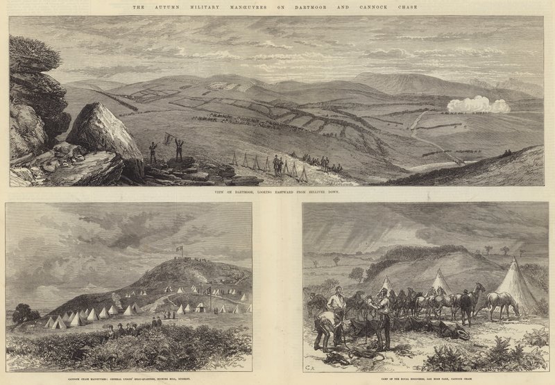 Dartmoor ve Cannock Chase
