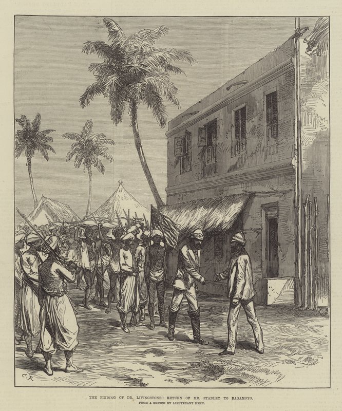 Dr Livingstone