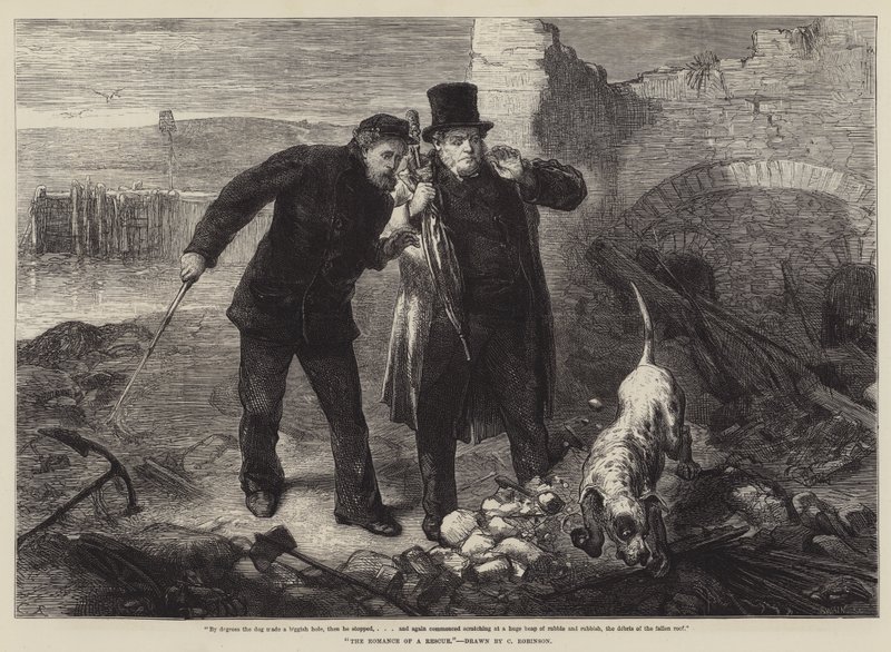 Kurtarma Romantizmi by Sir John Charles Robinson