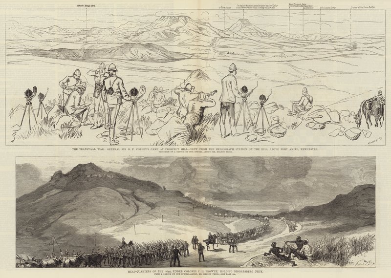 ಟ್ರಾನ್ಸ್ವಾಲ್ ಯುದ್ಧ ಟರ್ಕಿ by Sir John Charles Robinson