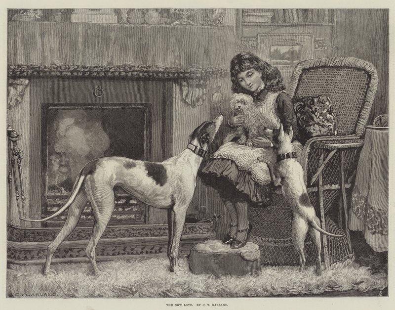 yeni aşk by Charles Trevor Garland