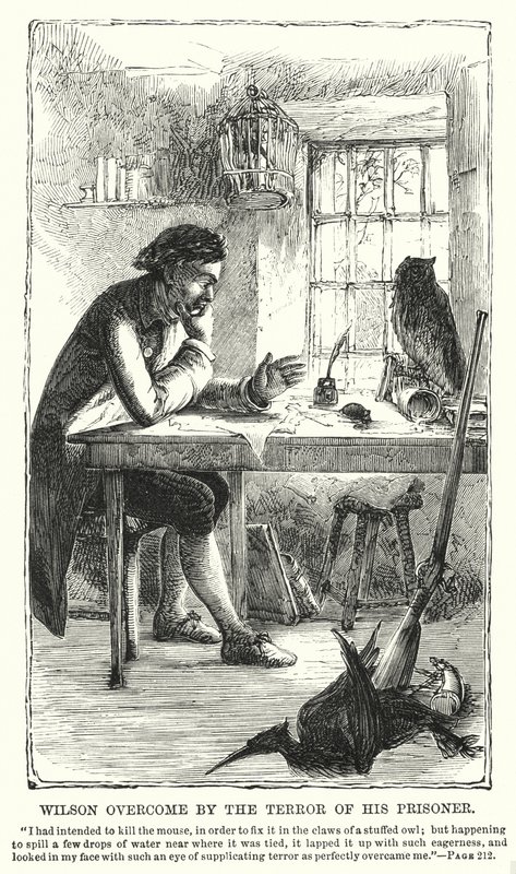 Wilson, tutsağının dehşetine yenik düştü (gravür) by Charles Altamont Doyle