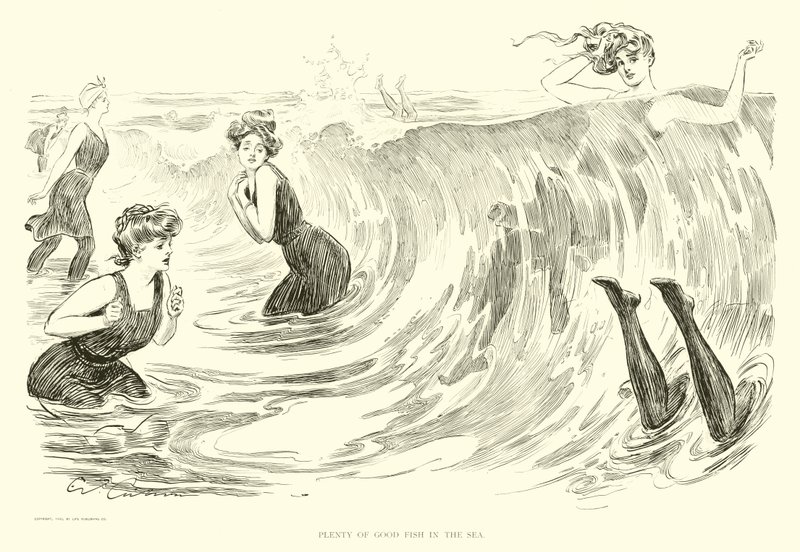 Sosyal Merdiven için İllüstrasyon (gravür) by Charles Dana Gibson