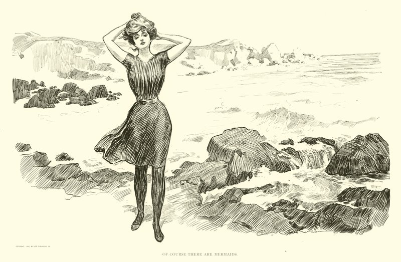 Sosyal Merdiven için İllüstrasyon by Charles Dana Gibson