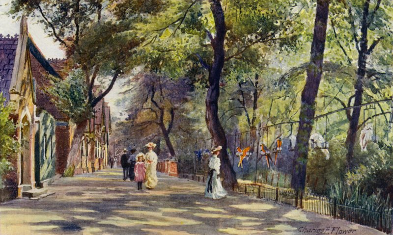 Londra Hayvanat Bahçesi: Papağan ve Fil Evleri (renkli taş) by Charles Edwin Flower