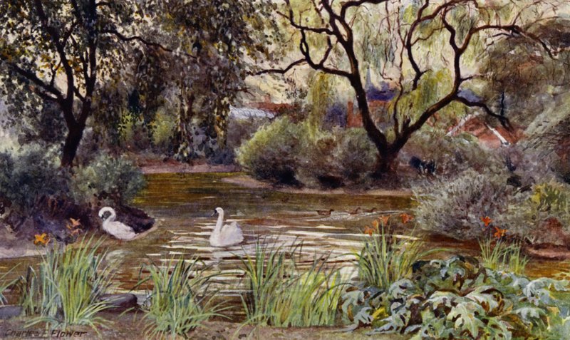 Londra Hayvanat Bahçesi: Three Island Pond (renkli taş) by Charles Edwin Flower