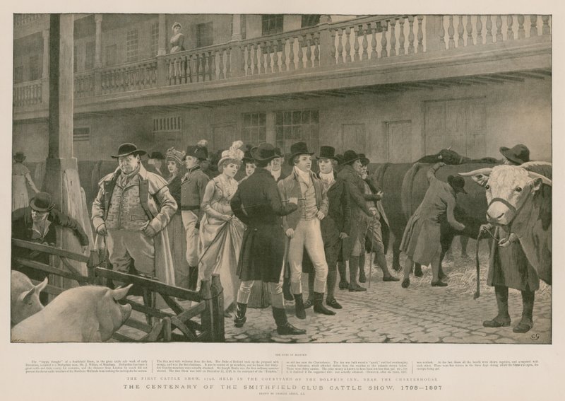 Smithfield Club Sığır Gösterisinin yüzüncü yılı by Charles Green