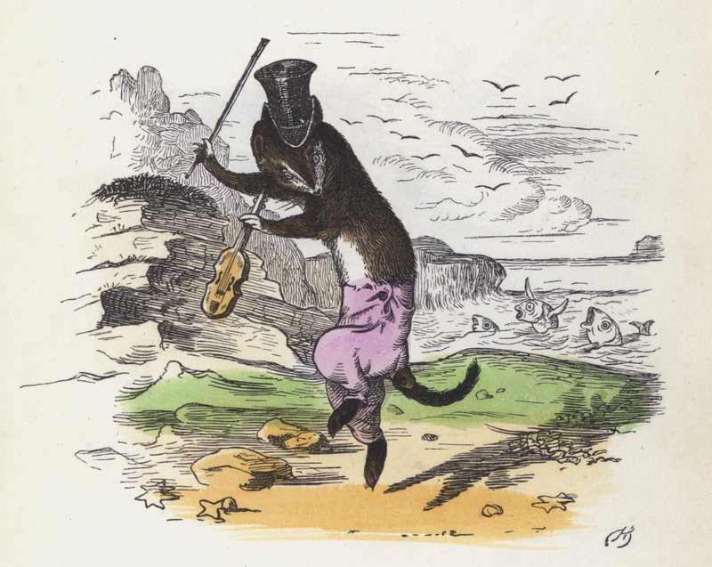 Fransız gelincik keman çalıyor ve dans ediyor (renkli gravür) by Charles Henry (after) Bennett