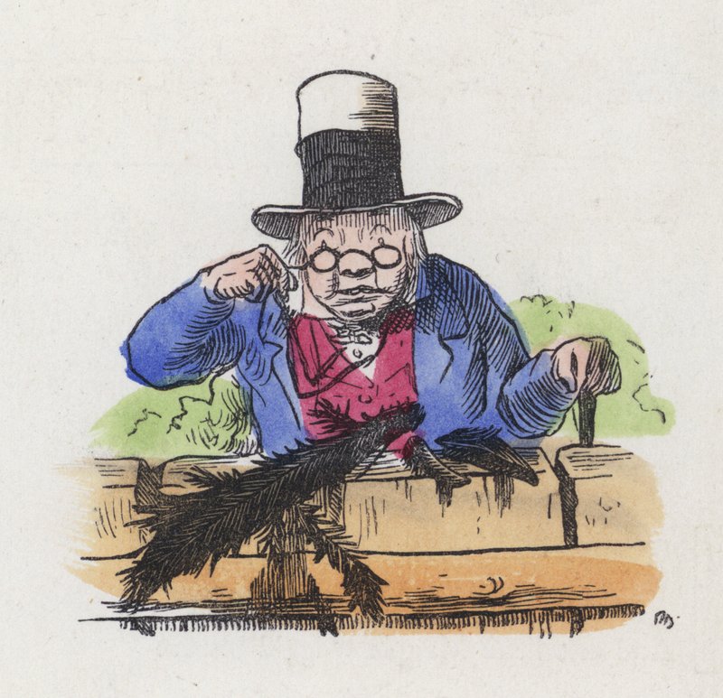 Bir bahçe çitinde iki saksağan kalıntısı (renkli gravür) by Charles Henry (after) Bennett