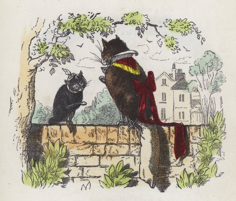 Bir bahçe duvarında iki kedi (renkli gravür) by Charles Henry (after) Bennett