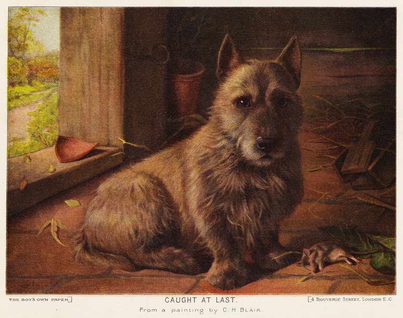 Sonunda Yakalandı (renkli taş) by Charles Henry Blair