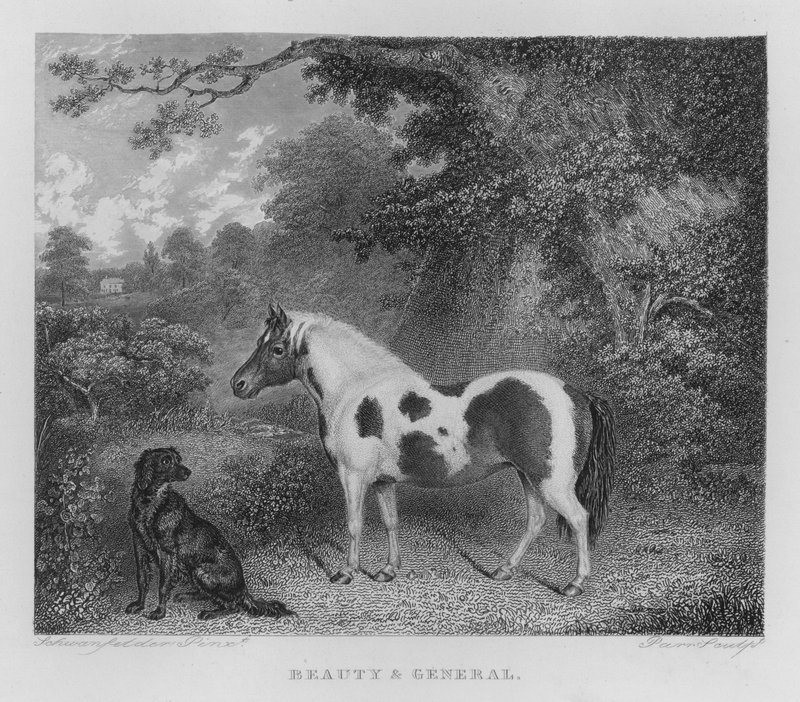 Güzellik ve Genel (gravür) by Charles Henry Schwanfelder