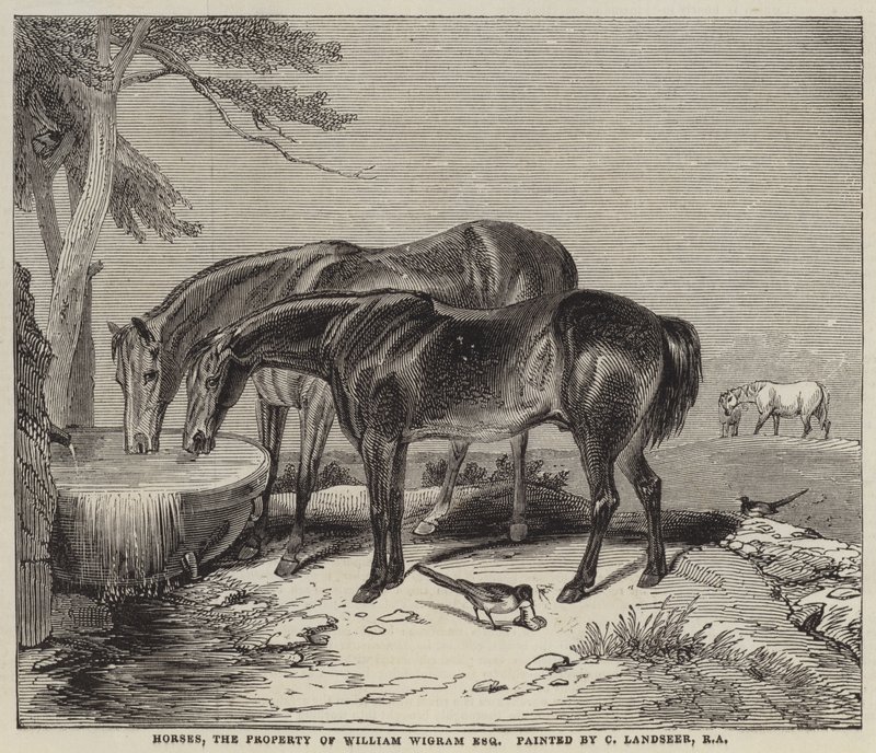 Atlar, William Wigram'ın Mülkiyeti, Esquire by Charles Landseer