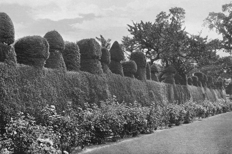 Fulford Hall: Eksantrik Budama Sanatı Çalışması by Charles Latham