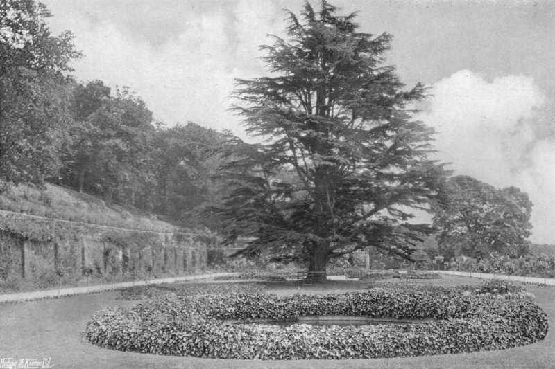 çim üzerinde by Charles Latham