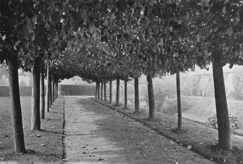 Pleached Yürüyüşü (s/b fotoğraf) by Charles Latham
