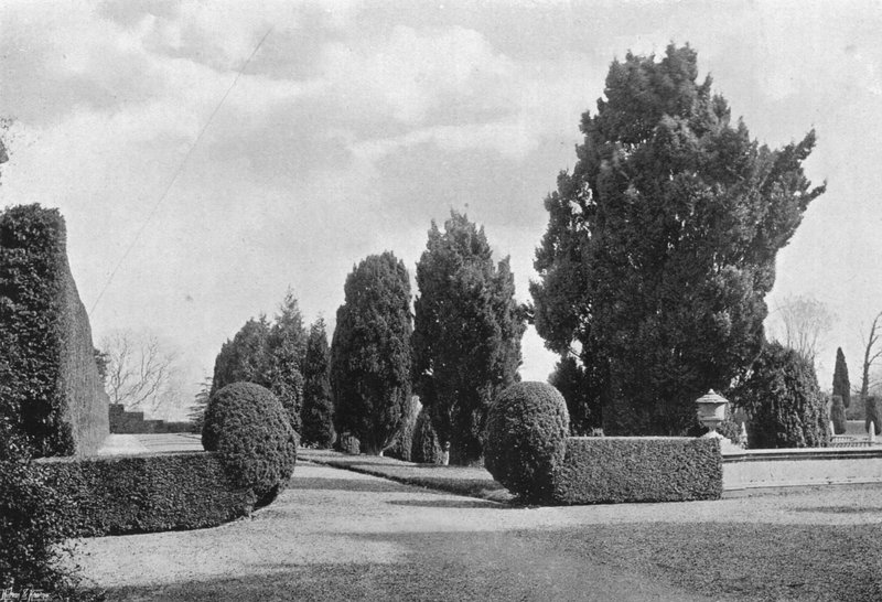 Privy Garden