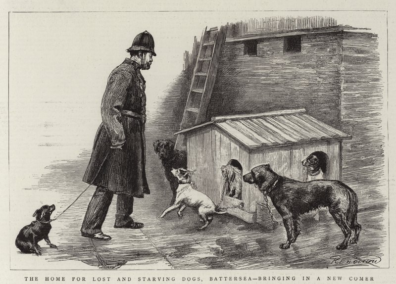 Kayıp ve Açlıktan Ölen Köpekler Evi, Battersea, Yeni Bir Gelen Getiriyor by Charles Paul Renouard