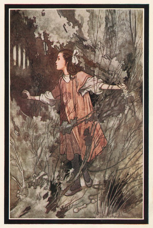 Bir Kapının Topuzuydu by Charles Robinson