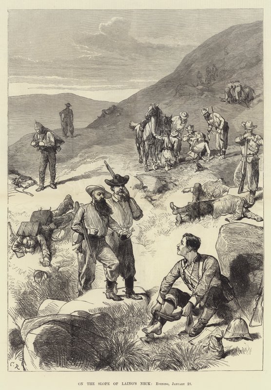 Laing'in Boynunun Yamacında, Akşam, 28 Ocak by Sir John Charles Robinson