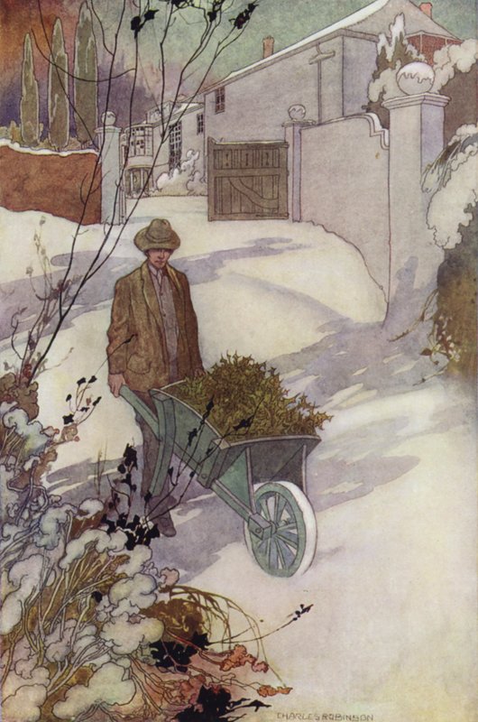 Duygusal Bahçemiz: Kış (renkli taş) by Charles Robinson