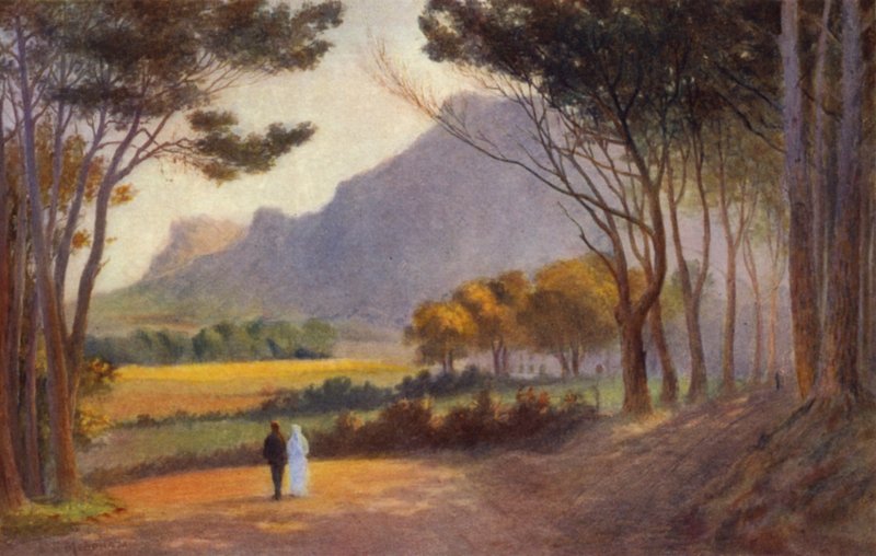 Cape Yarımadası, Güney Afrika: Alphen (renkli taş) by Charles Stephen Meacham