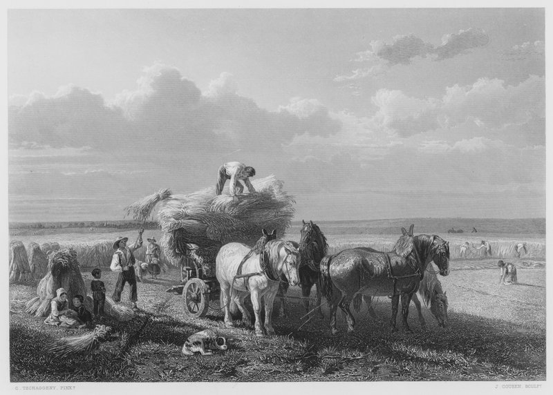 Hasat Alanı, Kraliyet Koleksiyonu'ndaki resimden (gravür) by Charles Tschaggeny