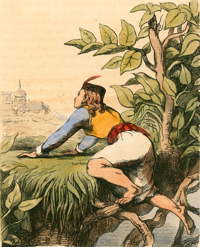 Beanstalk